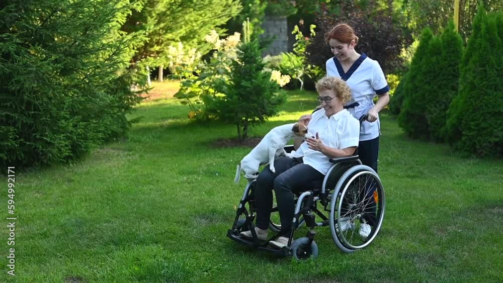 Caucasian female doctor walks with an elderly patient in a wheelchair in the park. Nurse accompanies an elderly woman on a walk with a dog outdoors. 