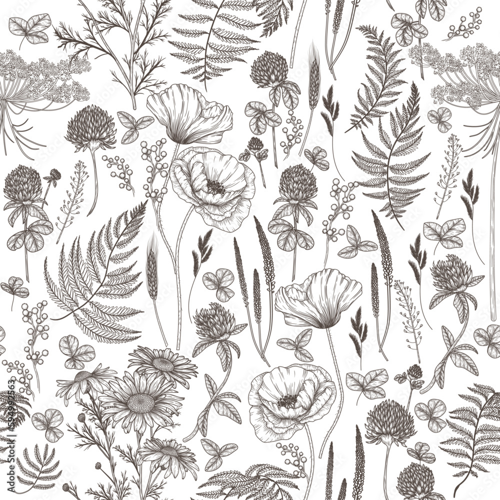 Seamless vector pattern wild flowers in engraving style. Poppy, chamomile, fern, clover
