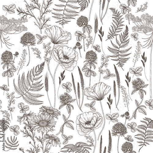 Seamless vector pattern wild flowers in engraving style. Poppy, chamomile, fern, clover