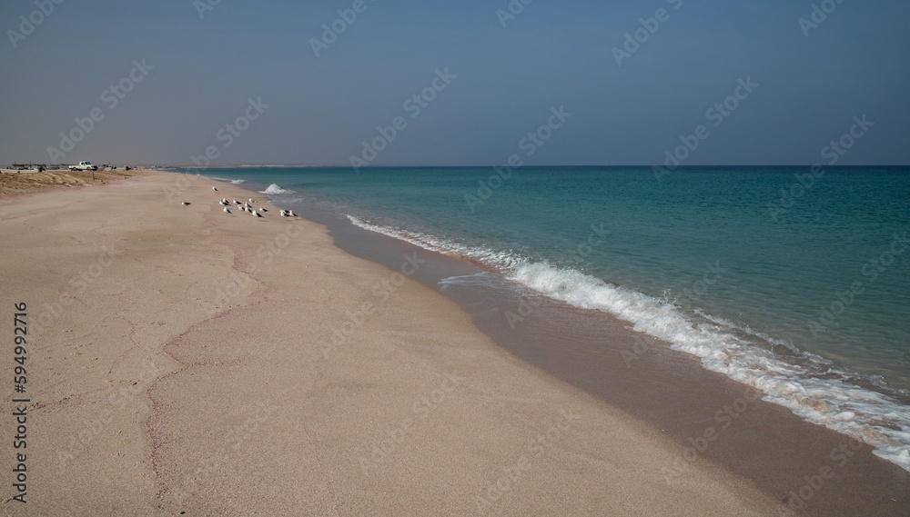 Beach near Al Hadd, city of Oman