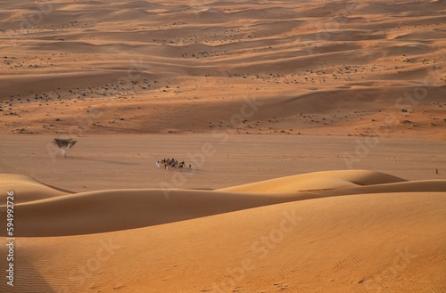Wahiba Sands, desert of Oman