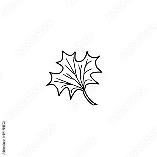Simple illustration of maple leaf isolated on white, doodle style flat drawing for cards, sites, coloring books, web design, clothing prints