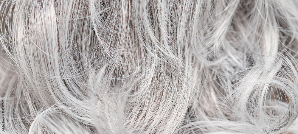 Obraz premium Close-up of ash blonde dyed hair, toned curls background