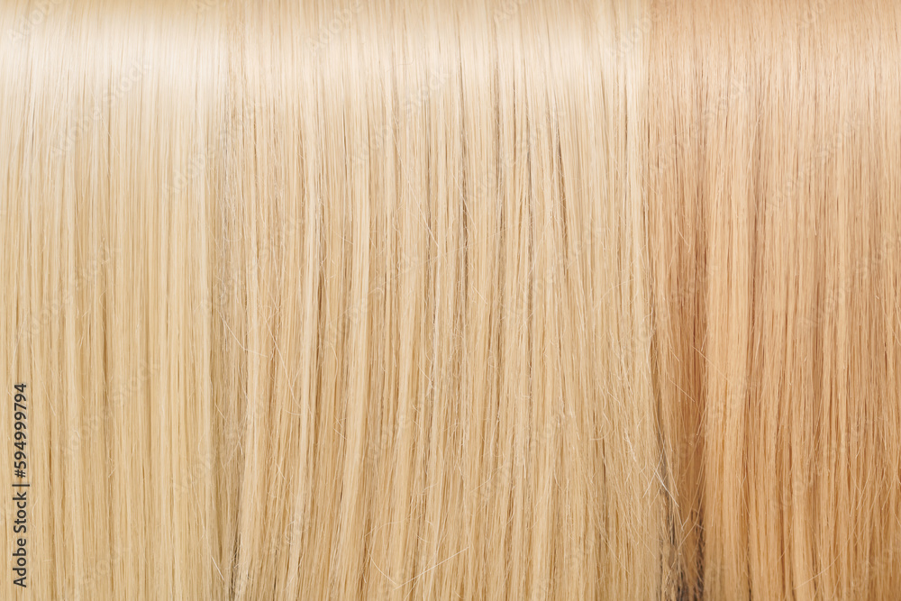 Close-up texture hair dyed sand blonde, toned straight samples background Close-up texture hair dyed sand blonde, toned straight samples background
