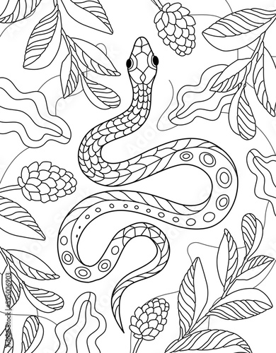 Animal coloring book. Hand drawn monochrome Snake. Coloring page for kids and adults. Ancient serpent, antique symbol. Drawings for poster. Linear vector drawing.
