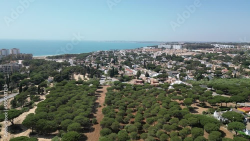 Vista aérea de pinar cerca de la playa en El Puerto de Santa María, Cádiz, Andalucía.