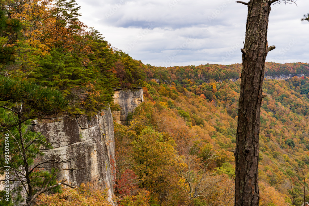 New River Gorge National Park | Endless Wall Trail - Diamond Point Overlook New River Gorge National Park | Endless Wall Trail - Diamond Point Overlook