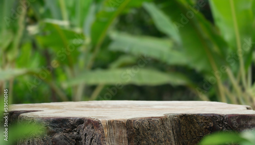 Wood tabletop podium floor in outdoors blur green banana leaf tropical forest nature landscape background.cosmetic natural product mock up placement pedestal stand display,jungle summer concept.