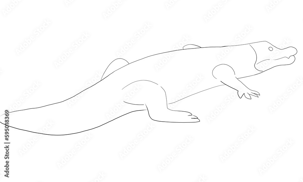 ワニ 白 線画 イラスト ワニ 白 線画 イラスト