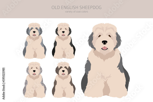 Old English sheepdog clipart. Different poses, coat colors set