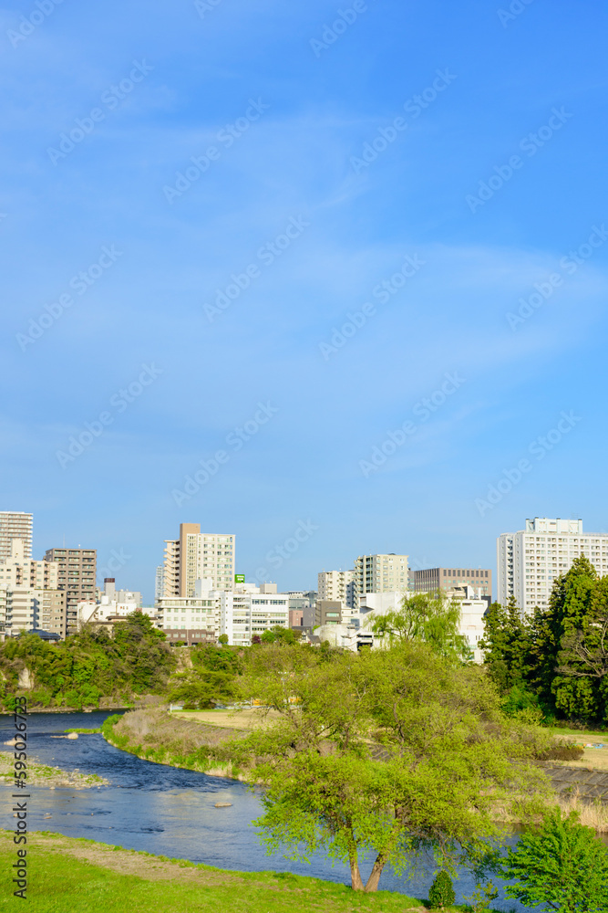 Fototapeta premium 新緑の仙台 広瀬川を歩く