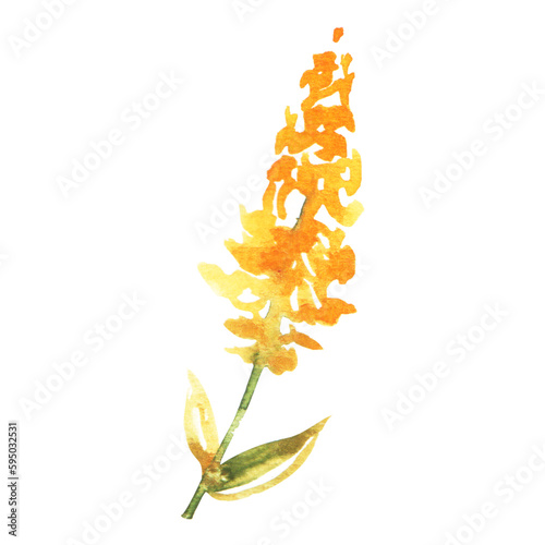 Stylish watercolor green leaf with yellow flowers on a transparent background - Watercolor Clipart