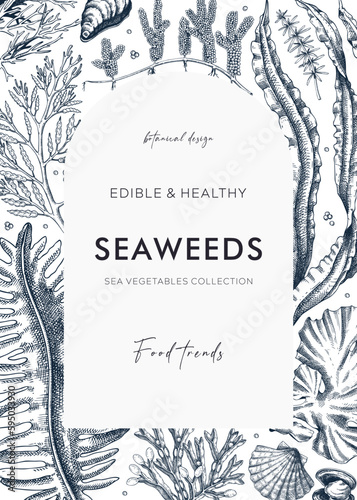 Edible seaweed card or invitation design. Sea algae in sketch style. Vector frame with kelp, wakame, kombu, and hijiki illustrations. Healthy food ingredients banner.