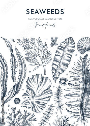 Edible seaweed card or invitation with hand drawn algae. Kelp, kombu, wakame, hijiki, Irish moss botanical illustration. Underwater plants vector frame. Healthy food ingredients design
