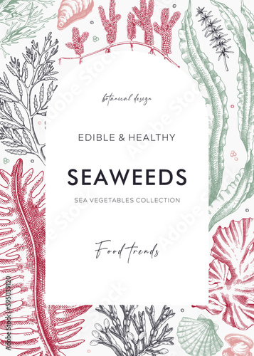 Edible seaweeds arc frame design. Hand drawn sea algae in sketch style. Vector illustration with kelp, wakame, kombu, and hijiki drawings. Healthy food ingredients banner for Asian cuisine menu.