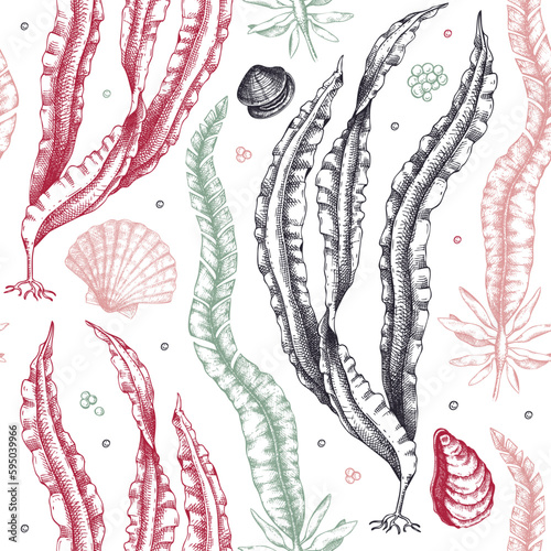 Hand-drawn Kombu background. Laminaria botanical illustration in sketch style. Edible seaweed seamless pattern. Sea life drawings. For menu design, textile, wrapping paper, print