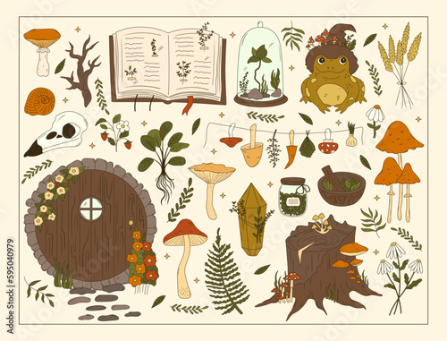 Set of cute hand drawn goblincore illustrations. Green witch aesthetic. Mushrooms, fern, herbs, toad, stump, skull elements for fairy witchcraft design. Cartoon herbology vector art