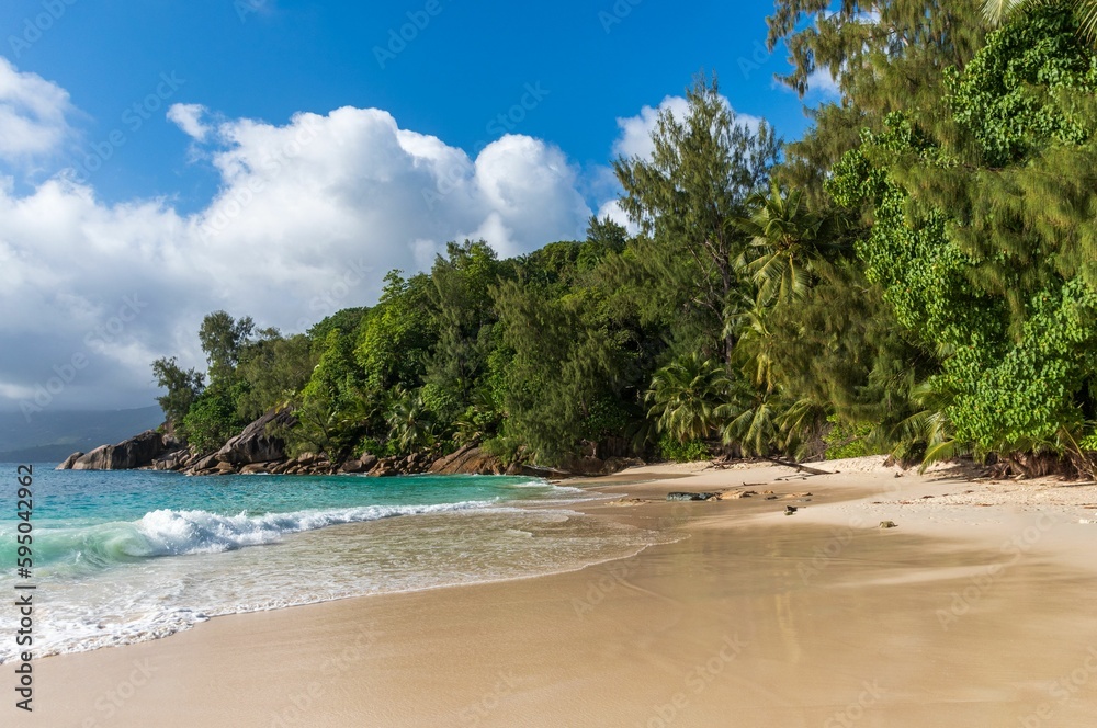Stunning tropical beach paradise with clear blue sky and green palm trees in the background Stunning tropical beach paradise with clear blue sky and green palm trees in the background