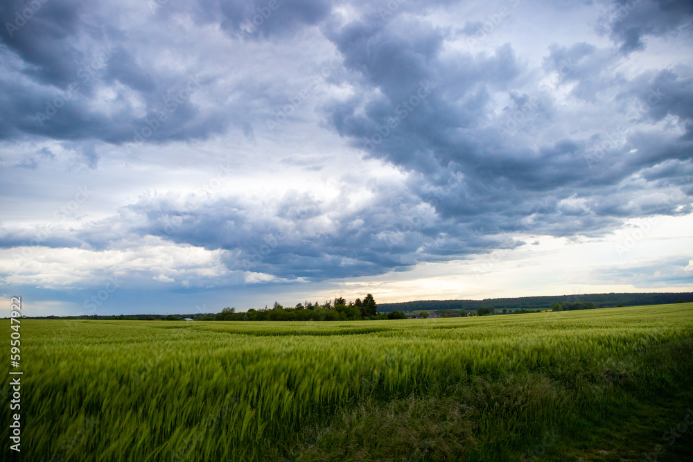 Landscape shot of fields and cloudy sky Landscape shot of fields and cloudy sky