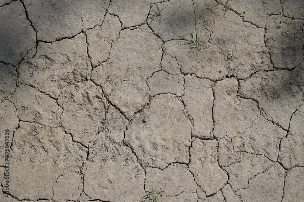 Fototapeta premium dry land with cracks close-up