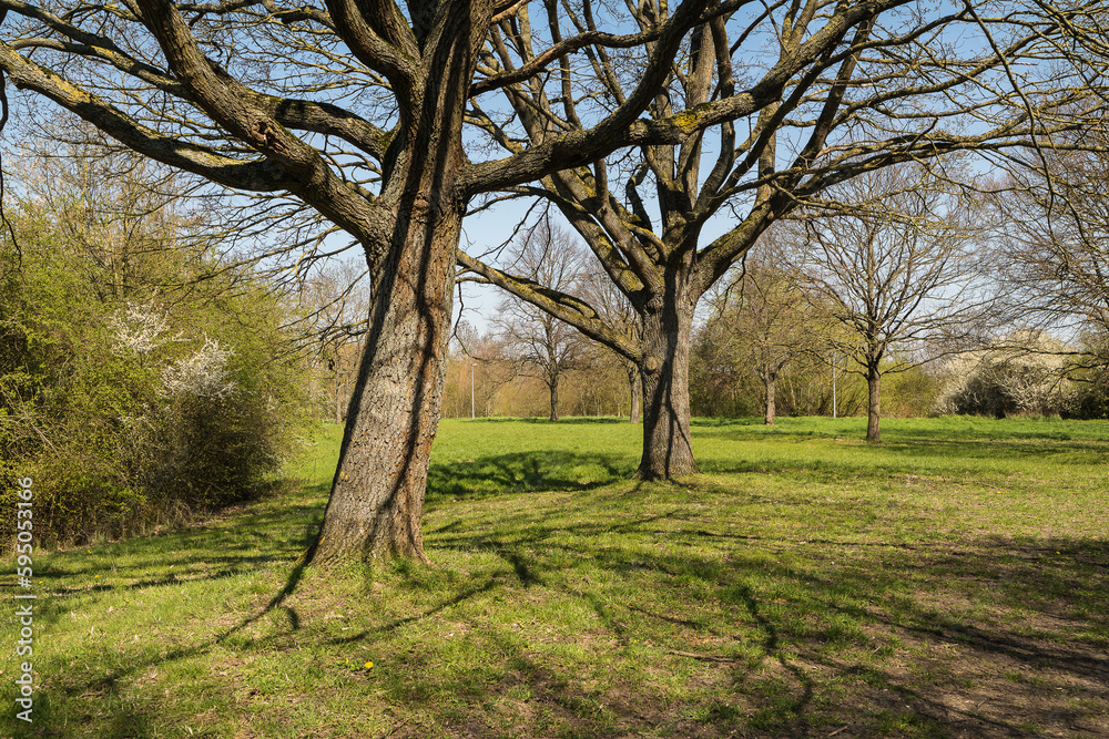Fototapeta premium Hannover Bemerode