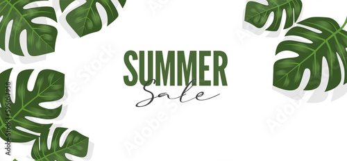 Summer sale with Monstera deliciosa tropical leaf nature