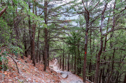 Hiking the Thousand Steps Trail on a Winter Day, Pennsylvania USA, Mapleton, Pennsylvania photo