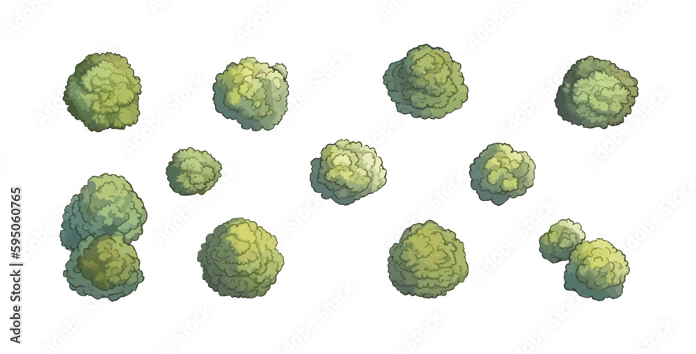 Set of various trees, bushes and shrubs, top view for landscape design plan or game design. Vector illustration in cartoon style, isolated on white background.