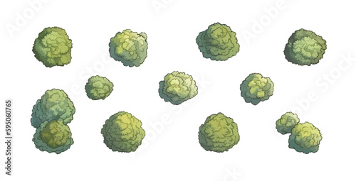 Set of various trees, bushes and shrubs, top view for landscape design plan or game design. Vector illustration in cartoon style, isolated on white background.