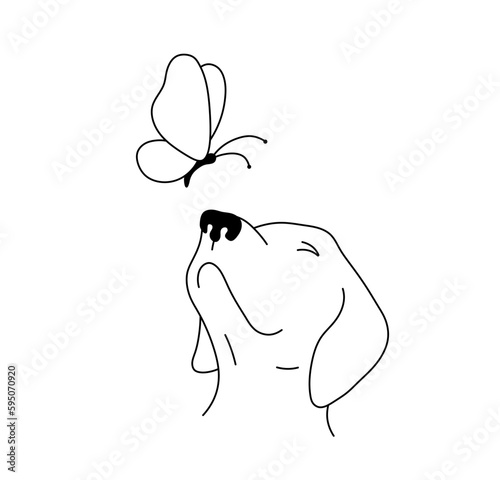 Vector isolated one single dog head with butterfly  colorless black and white contour line easy drawing
