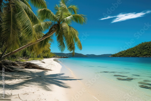 Paradise Found  A Beach with Palm Trees  White Sand  and Crystal Clear Water. Generative Ai
