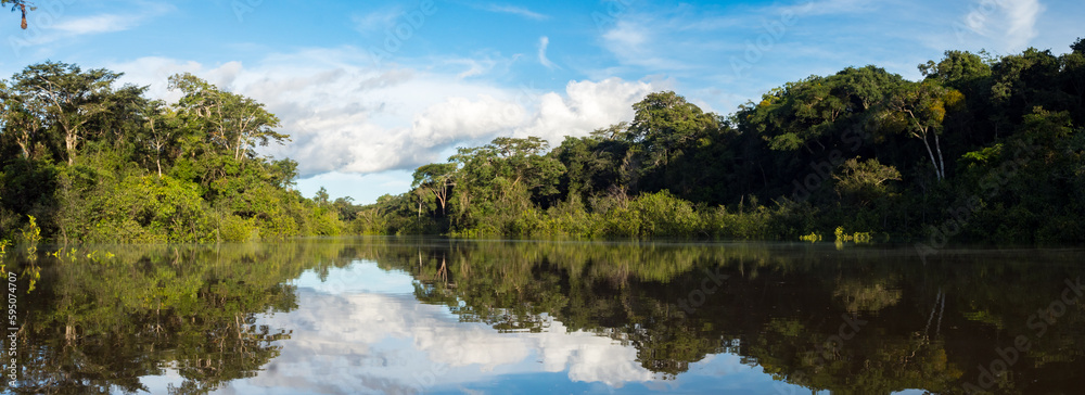 Amazonia - obrazy, fototapety, plakaty 
