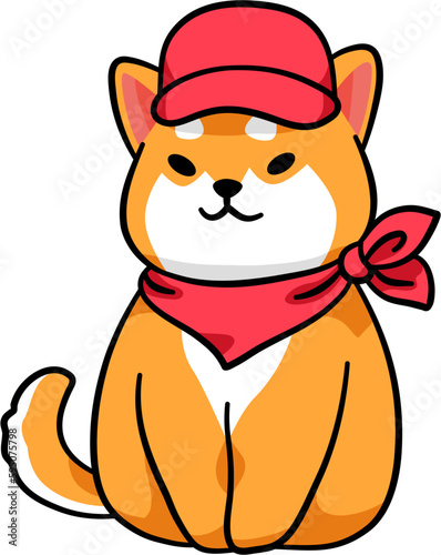 Cute Shiba dog