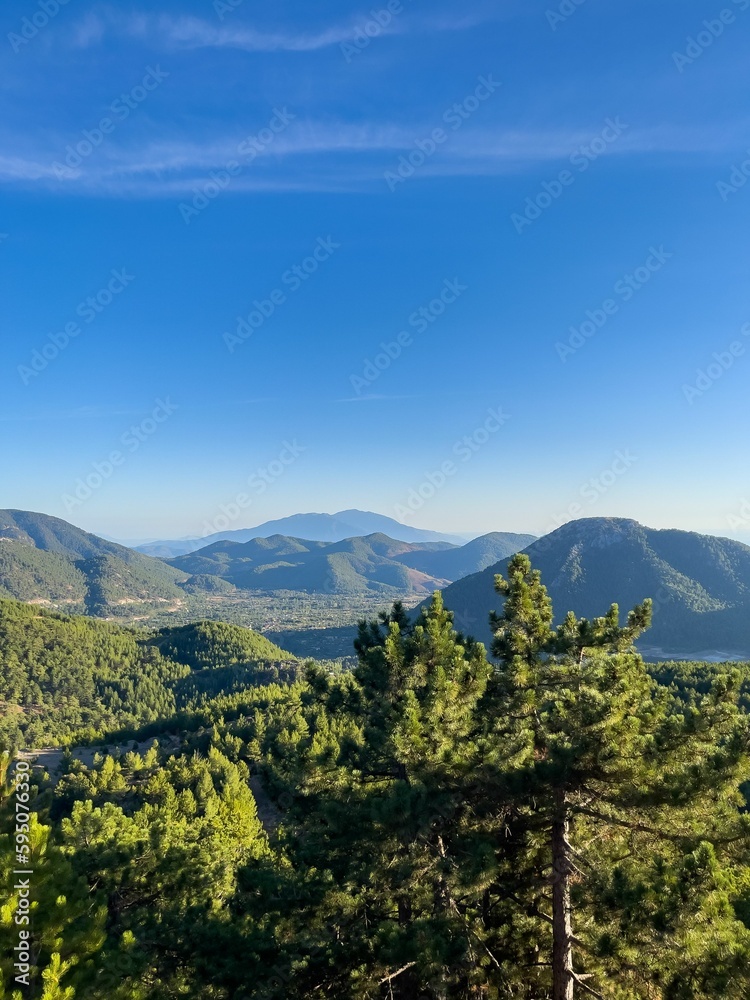 some mountains in the distance and a forest with trees on both sides