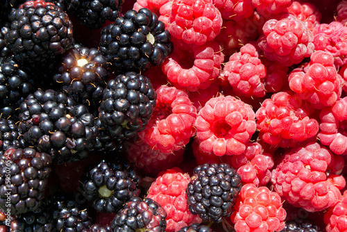 Raspberry and blackberry berries mixed together in a bowl