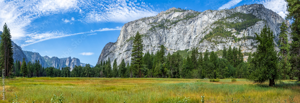 Yosemite Valley seen from Sentinel Meadow, California.