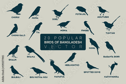 Photography Names of popular birds in Bangladesh