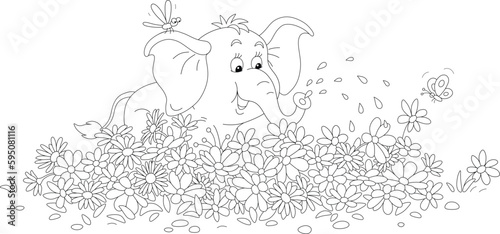 Happy baby elephant watering flowers on a pretty flowerbed in a summer garden, black and white outline vector cartoon illustration for a coloring book