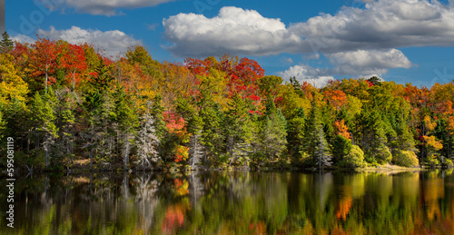Adams reservoir in Woodford state park is surrounded by trees showing brilliaant fall colors, near Woodford, Vermont photo