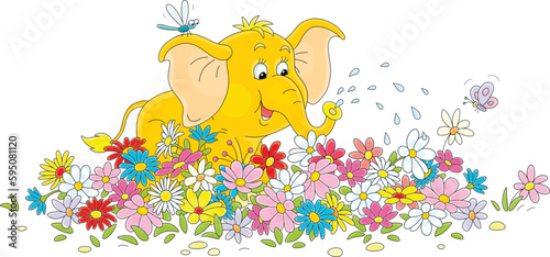 Happy baby elephant watering colorful flowers on a pretty flowerbed in a summer garden, vector cartoon illustration isolated on a white background
