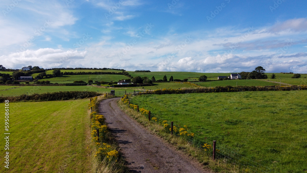 A country road between green fields in Ireland. Blue sky over grass fields. Irish summer landscape. Green grass field under blue sky
