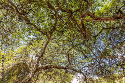 landscapes and animals of chicamocha