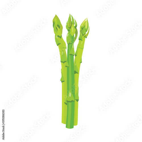 Fototapeta Naklejka Na Ścianę i Meble -  Vector illustration of asparagus. Healthy vegetable for cooking.