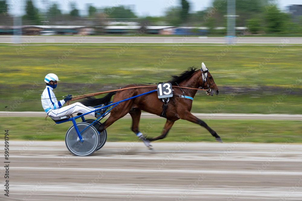Racing horses trots and rider on a track of stadium. Competitions for trotting horse racing. Horses compete in harness racing on a sunny day. Horse runing at the track with rider.
Racing horses trots and rider on a track of stadium. Competitions for trotting horse racing. Horses compete in harness racing on a sunny day. Horse runing at the track with rider.