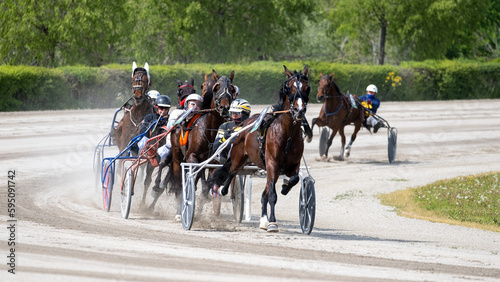 Racing horses trots and rider on a track of stadium. Competitions for trotting horse racing. Horses compete in harness racing on a sunny day. Horse runing at the track with rider. 
