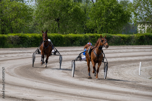Racing horses trots and rider on a track of stadium. Competitions for trotting horse racing. Horses compete in harness racing on a sunny day. Horse runing at the track with rider. 