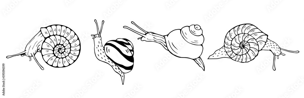 Fototapeta premium A set of decorative sketches, doodles of various snails.Vector graphics. 