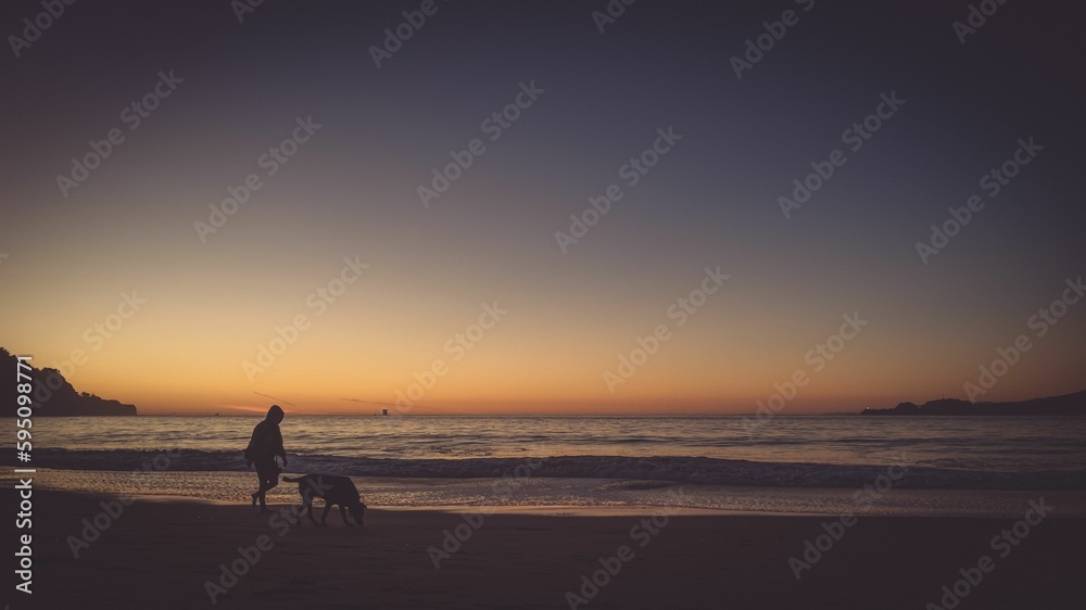 A silhouette of a female with her dog walking on the beach shore in san francisco california
