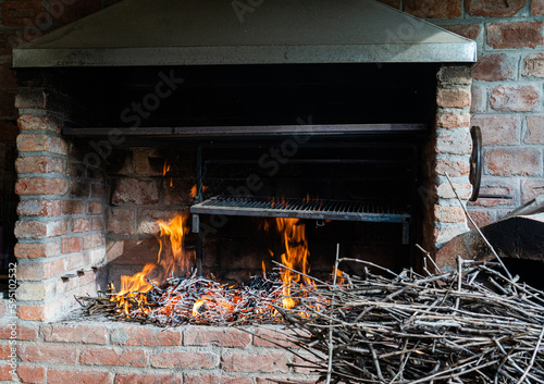 Flame in the fireplace