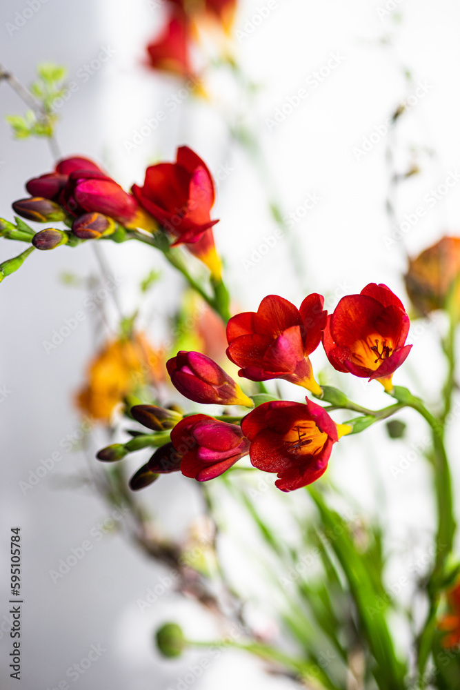 Floral composition with seasonal flowers Floral composition with seasonal flowers
